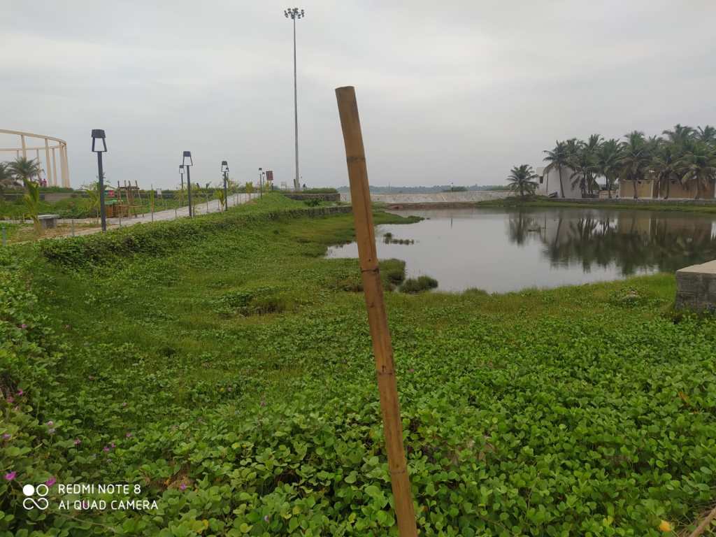 Eden beach Pondicherry