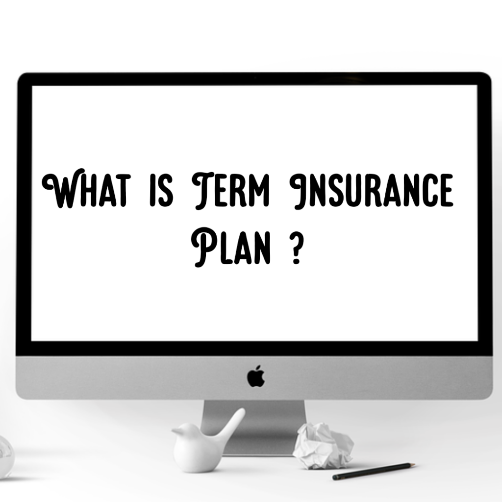 what is term insurance plan