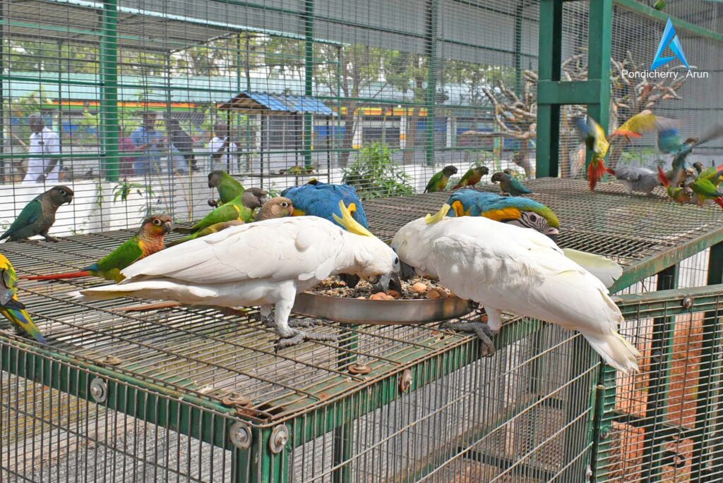 Garuda Park Pondicherry - One Minute Pages